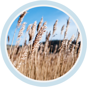 大发welcome - 首页官网登录